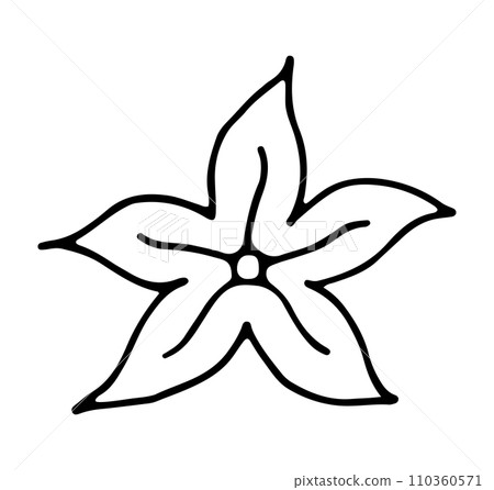 Sea star flower doodle outline hand drawn isolated editable illustration. Transparent drawing on white background Sea star flower doodle outline hand drawn isolated editable illustration. Transparent drawing on white background 110360571