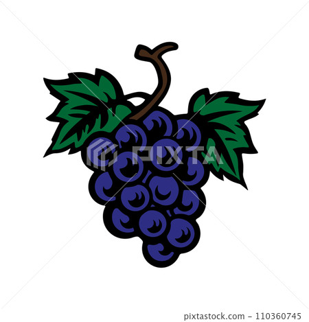 Bunch of grapes with leaves, wine vine, doodle hand drawing, editable icon, colored on white background Bunch of grapes with leaves, wine vine, doodle hand drawing, editable icon, colored on white background 110360745