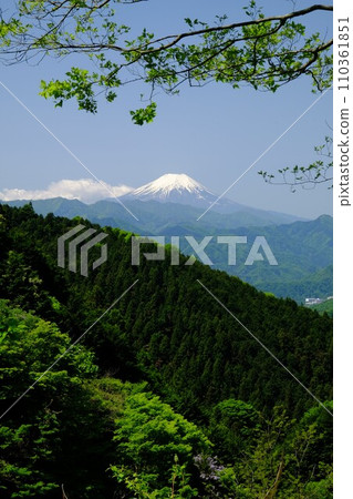 從神馬街道眺望白雪皚皚的富士山和翠綠的山脈【相模原市築井市，5月】 110361851