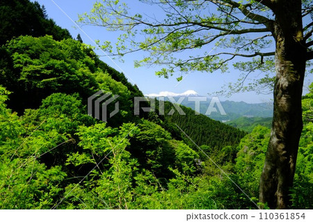 從新綠的神馬街道上看到殘雪的富士山[相模原市築井市，5月] 110361854