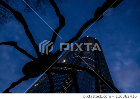 The best view in Tokyo 110362410