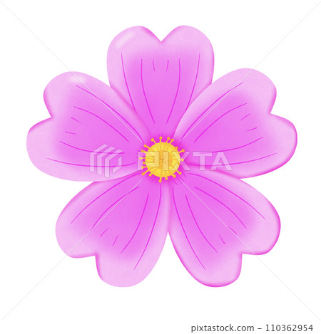 pink flower isolated on white background pink flower isolated on white background 110362954