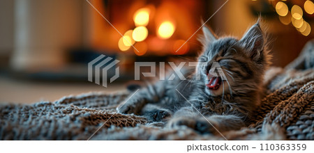 Cute yawning kitten sleeping on the sofa by the fireplace, home comfort, postcard for world sleep and laziness day, space for cat care concept Cute yawning kitten sleeping on the sofa by the fireplace, home comfort, postcard for world sleep and laziness day, space for cat care concept 110363359