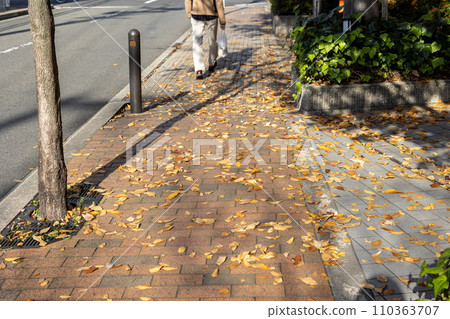 sidewalk with yellow fallen leaves 110363707