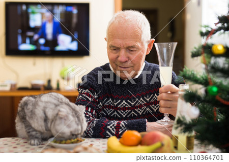 Elderly man together with a cat of the Scottish fold cat celebrates new year at festive table 110364701