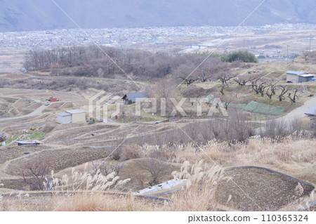 Rural scenery seen from the Obasute rice terraces in winter 110365324