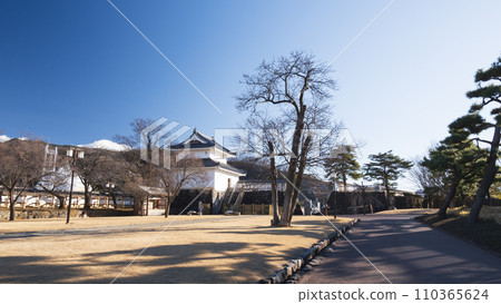 Restored Kofu Castle (Tsuruma Castle Park) 110365624