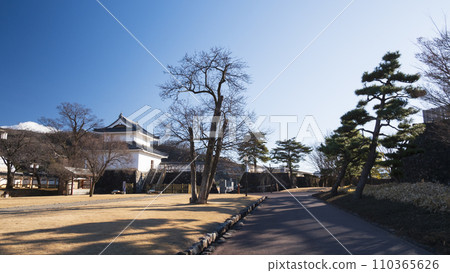 Restored Kofu Castle (Tsuruma Castle Park) 110365626