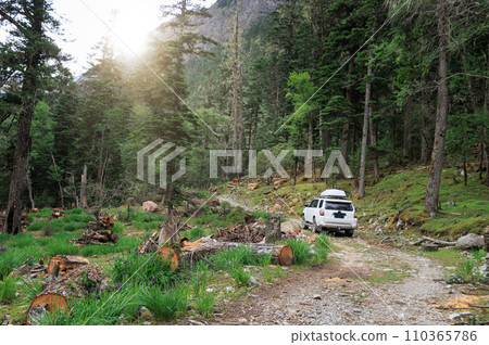 Driving offroad car in high altitude forest trail, China Driving offroad car in high altitude forest trail, China 110365786