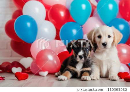 A background for valentines day banner with cute puppies surrounded with colorful balloons and hearts. A background for valentines day banner with cute puppies surrounded with colorful balloons and hearts. 110365980