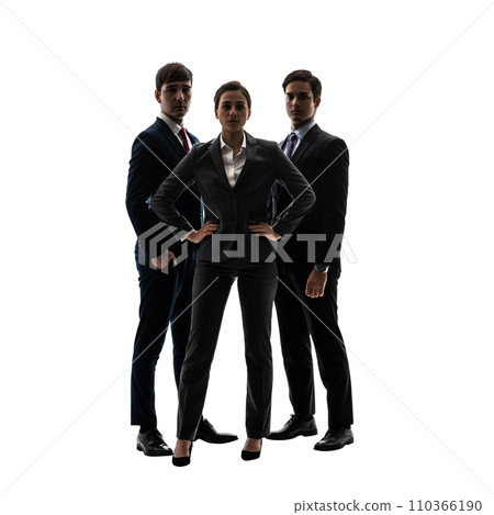 Group of foreign business people - Transparent background photo PNG precisely cut out with clipping path Group of foreign business people - Transparent background photo PNG precisely cut out with clipping path 110366190