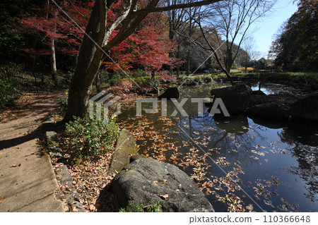 紅葉環繞的東高根森林公園 紅葉環繞的東高根森林公園 110366648