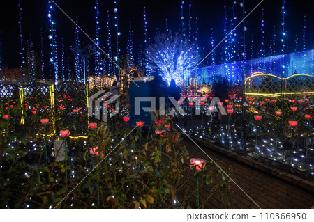 illumination 110366950