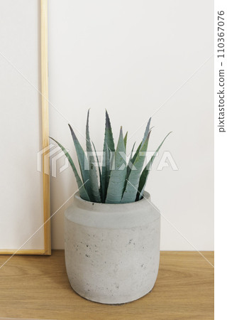 Artificial aloe flower in a gray pot on a wooden table in the decor of apartments in Scandinavian minimalist style 110367076