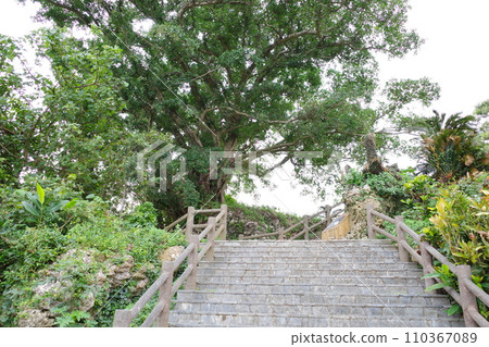 Serigusuku Stairs/Okinawa Prefecture, Shimajiri District Serigusuku Stairs/Okinawa Prefecture, Shimajiri District 110367089