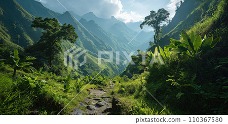 beautiful landscape of a high mountain valley with tropical vegetation and terraced fields in the background 110367580