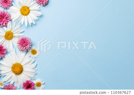 Garden blossom flower heads on blue background Garden blossom flower heads on blue background 110367627
