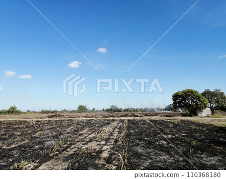 Slash-and-burn cultivation after sugarcane harvest (Philippines) 110368180