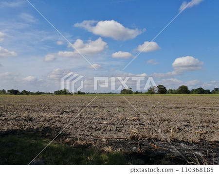 甘蔗收穫後刀耕火種種植（菲律賓） 110368185