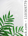 green palm leaf branches on white background. flat 110369779