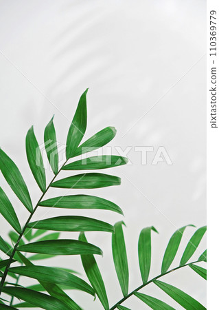 green palm leaf branches on white background. flat green palm leaf branches on white background. flat 110369779