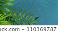 green palm leaf branches on blue background. flat 110369787