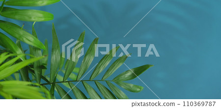 green palm leaf branches on blue background. flat 110369787