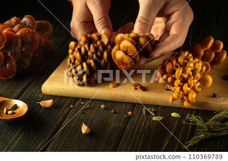 Close-up of a chef hands sorting Flammulina velutipes mushrooms on a kitchen board before preparing a diet lunch 110369789