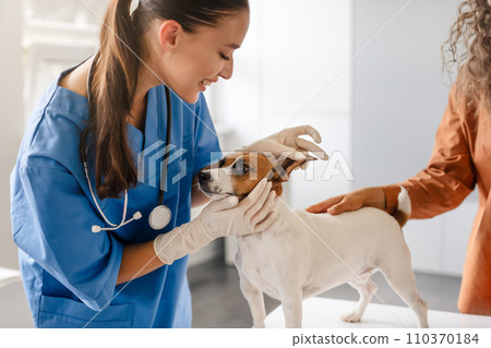 Vet smiling at dog during ear examination 110370184