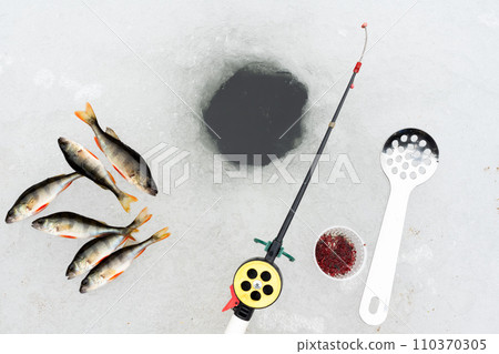 Winter fishing concept with fishing rod Winter fishing concept with fishing rod 110370305