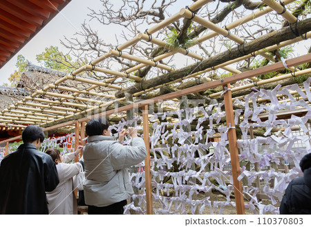人們在新年期間參拜神社並結緣 人們在新年期間參拜神社並結緣 110370803
