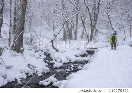 漫步在被新雪覆蓋的森林中，大仙木八澤溪流 110370851