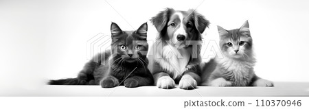 AI-generated content. Generated image of a black and white photo of three cats and a dog 110370946