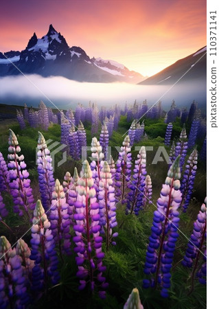 Blooming meadow among mountains. High peaks and flowers. Beauty in nature. 110371141
