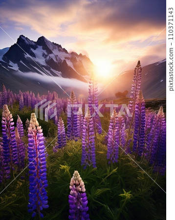Blooming meadow among mountains. High peaks and flowers. Beauty in nature. 110371143