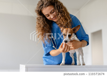 Female vet gives medication to dog during exam 110371674