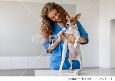 Female vet with curly hair bandaging a dog's paw Female vet with curly hair bandaging a dog's paw 110371821