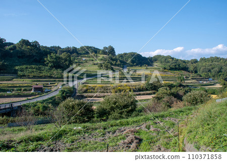 奈良縣飛鳥村，稻淵梯田秋色滿園 110371858