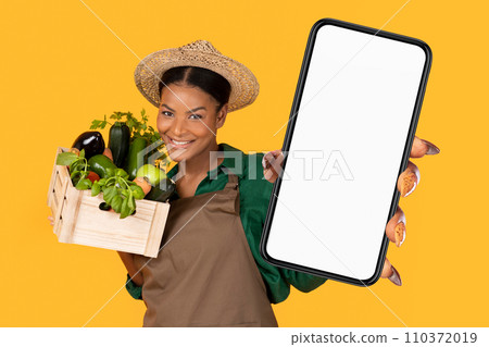 Black Farmer Lady Holding Box With Fresh Harvest And Phone Black Farmer Lady Holding Box With Fresh Harvest And Phone 110372019