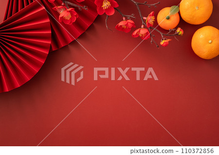 Tangerine Chinese lunar new year Tangerine Chinese lunar new year 蜜橘みかん 110372856