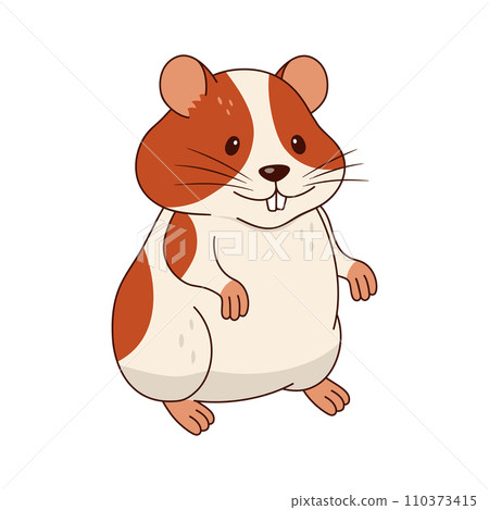 Cute orange and white hamster isolated on white background. Vector flat illustration. Cute orange and white hamster isolated on white background. Vector flat illustration. 110373415
