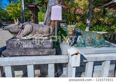 京都府長岡市長岡天滿宮的神牛肉 110373931