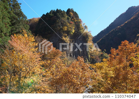 Gandate Gorge in autumn (Gero City, Gifu Prefecture) 110374047