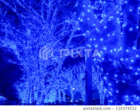 澀谷青之洞窟燈光秀 澀谷青之洞窟燈光秀 110374552