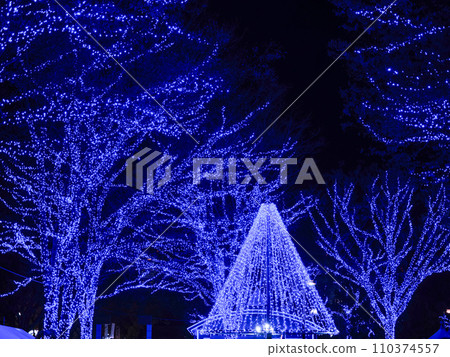 Blue Cave SHIBUYA Illumination 110374557