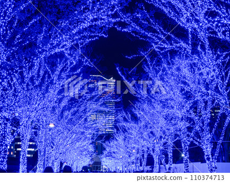 Blue Cave SHIBUYA Illumination 110374713