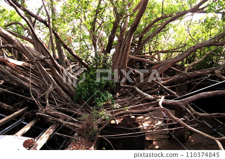 台南的休閒住宅 110374845