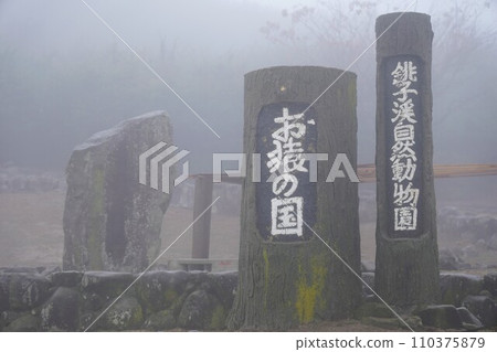 銫子溪猴國【香川縣小豆郡土莊町（小豆島）】24 110375879