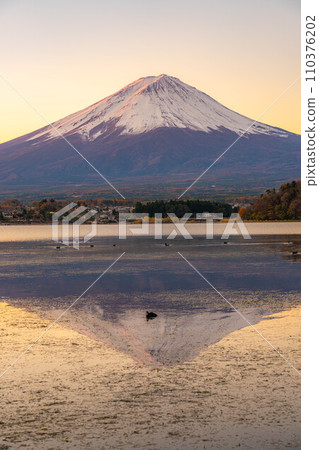 [富士山素材]早晨從河口湖看到的富士山[山梨縣] 110376202