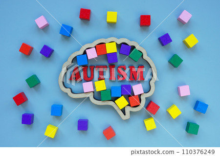 Brain outline, colored cubes and the inscription autism. Brain outline, colored cubes and the inscription autism. 110376249